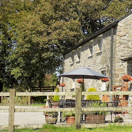 Lower Willsworthy Cottage Tavistock  Exteriér fotografie