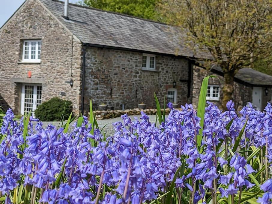 Lower Willsworthy Cottage Tavistock  Exteriér fotografie