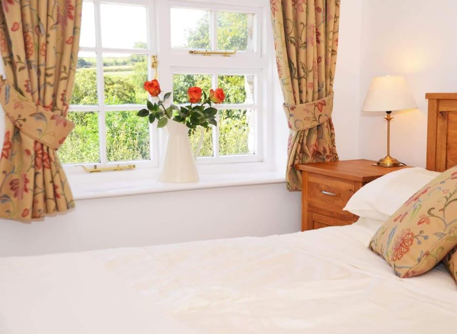 Lower Willsworthy Cottage Tavistock  Exteriér fotografie